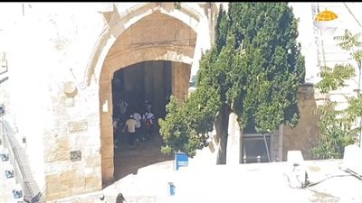 مستوطنون يقتحمون المسجد الأقصى وسط حماية مشددة من قوات الاحتلال