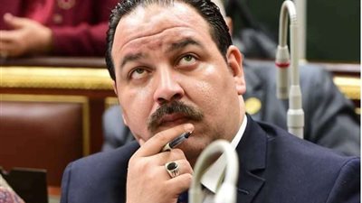 عصام رفعت المستشار القانوني لوزير الثقافة الأسبق يكتب: الدعم لرغيف الخبز