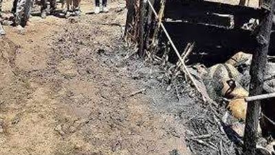 نفوق 40 رأس ماشية.. ضبط تاجري مواشي لإشعال النار في حظائر أحد الأشخاص بالفيوم