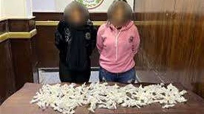 تفاصيل ضبط سيدتين بتهمة الاتجار بالمواد المخدرة بالقليوبية