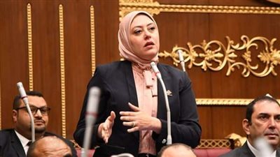 نائبة التنسيقية نهى زكي توصي بتهيئة البنية التشريعية لحوكمة استخدام تطبيقات الذكاء الاصطناعي في مختلف المجالات