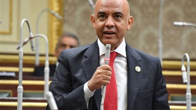 برلماني: الرئيس السيسي أكد للعالم موقف مصر الثابت من القضية الفلسطينية