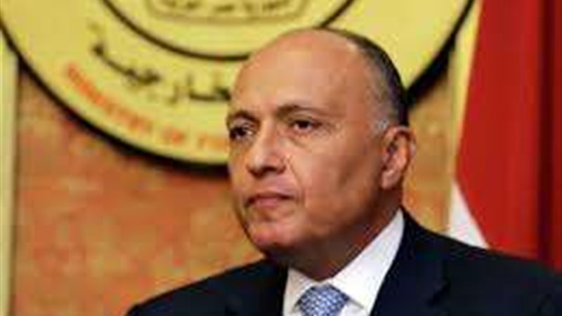 السيد سامح شكري وزير