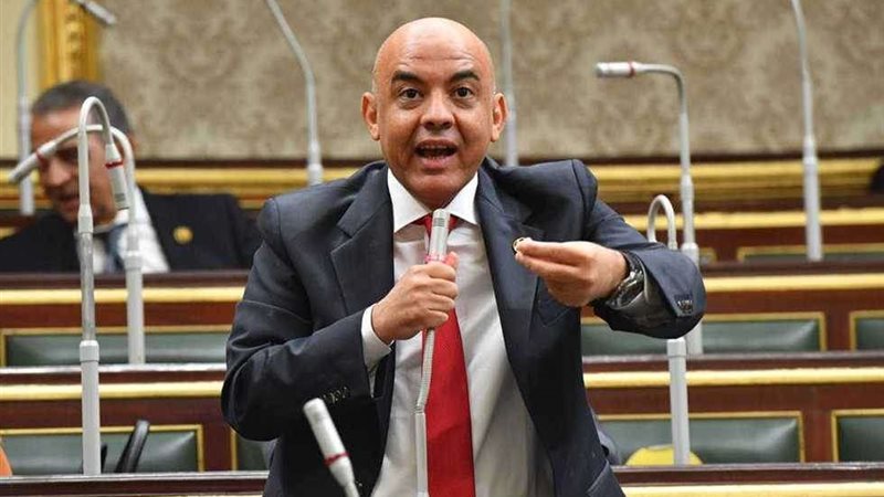 النائب عمرو هندى