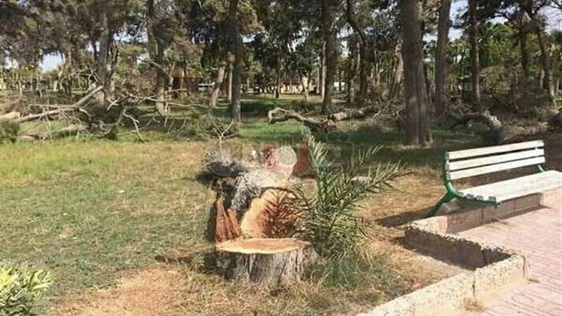 أرشيفية