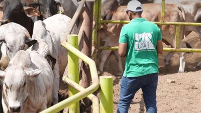 بمشاركة 1200 جمعية.. 