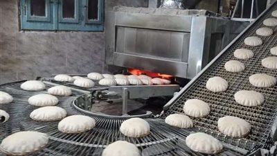 تحرير 249 مخالفة متنوعة في المخابز والأسواق بتموين القليوبية