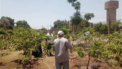 محافظ المنوفية يتابع أعمال المبادرة الرئاسية 