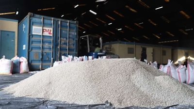 بأكثر من 10 مليون جنيه.. ضبط عنصر إجرامي بحوزته 371,500 ألف قرص مخدر بالقاهرة