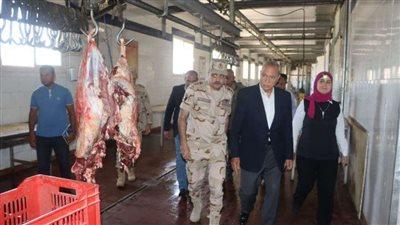 30 مجزرًا لاستقبال الأضاحي خلال عيد الأضحى بالمجان في القليوبية