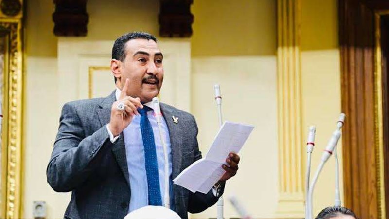 النائب محمد الجبلاوي
