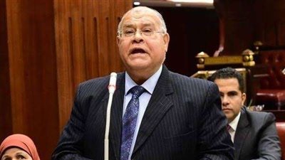 الشهابي: تطهير الوطن من الإرهاب ودعوة الرئيس للحوار الوطني من أهم إنجازات 30 يونيو| خاص
