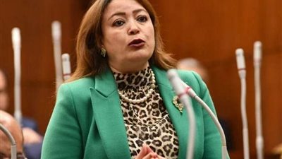 وكيل خارجية الشيوخ: إنشاء منتدى دائم للحوار والتنسيق بين دول إقليم القرن الإفريقي ضرورة ملحة