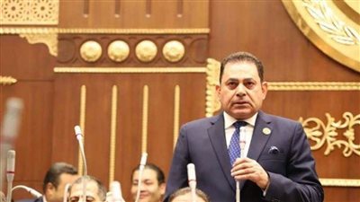 النائب فرج فتحي يطالب بتقديم حوافز للمزارعين لتشجيعهم على التحول لنظم الري الحديث