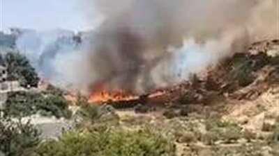 سرايا القدس تضرب تمركزًا لجيش الاحتلال في حي الشجاعية شرق غزة