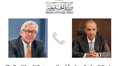 وزير الخارجية يؤكد أهمية تضافر الجهود للضغط على إسرائيل لوقف الحرب في غزة