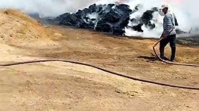 على مساحة 100 فدان.. حريق هائل يلتهم محصول الكتان بالغربية