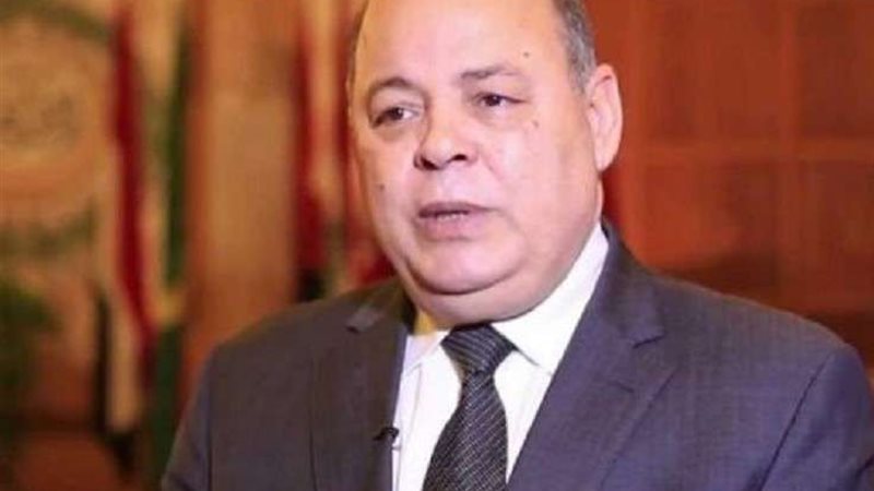 محمد صابر عرب وزير