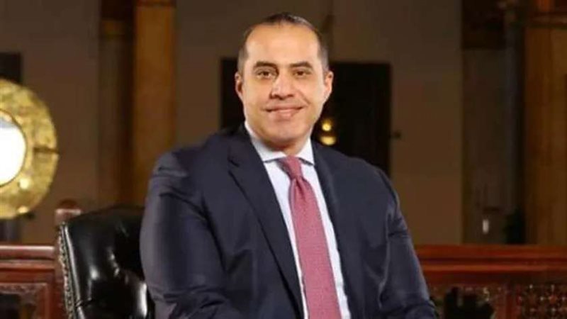 المستشار محمد فوزي