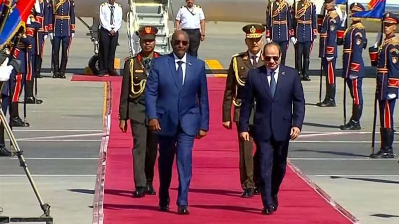 الرئيس السيسى يستقبل