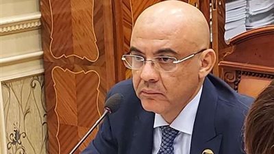 هندي: الحوار الوطني يعزز الاصطفاف السياسي