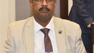 علي نور: انعقاد مؤتمر القوى السياسية السودانية يؤكد التزام مصر بدعم السلام بالمنطقة