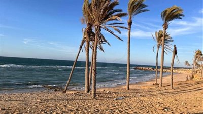 أشهرها شاطىء النخيل والرواق ومحمية الزرانيق والفرما.. مزارات شمال سيناء السياحية الطبيعية والتاريخية