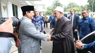 شيخ الأزهر يثمن الموقف الإندونيسي الداعم للقضية الفلسطينية