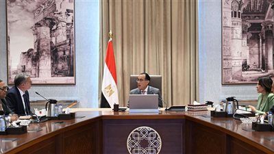 رئيس الوزراء يستعرض مع وزير البترول رؤية العمل خلال المرحلة المقبلة