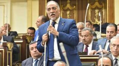 النائب عبدالهادي القصبي يشكر وزيري التنمية والإسكان على خطة عمل وزارتيهما في برنامج الحكومة