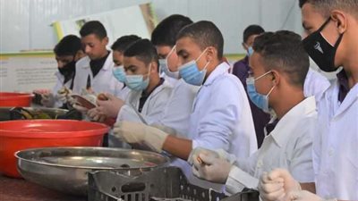 برابط مباشر.. خطوات التظلم على نتيجة الدبلومات الفنية 2024