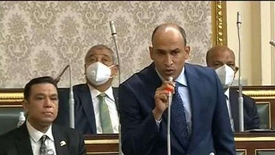 حسام أبو زيد: القيادة السياسية تتحرك لوقف إطلاق النار بغزة