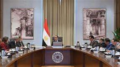 بحضور رئيس هيئة الدواء.. اجتماع الحكومة لحل أزمة نقص الأدوية