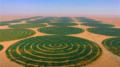 خاص| محطات معالجة وترشيد استهلاك.. آليات اتخذتها الحكومة لاستصلاح الأراضي دون الإضرار بالموارد المائية