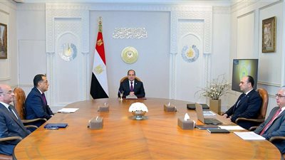 الرئيس السيسي يشدد على توسيع القاعدة الصناعية وتوطينها محلياً لتحقيق التنمية