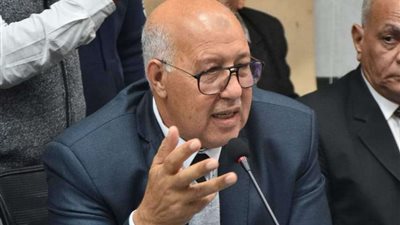 خاص| مصر المستقبل: لابد للشعب أن يعي حجم التحديات التي تمر بها مصر