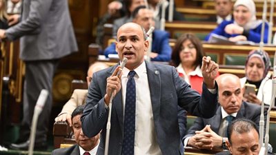برلماني: الشعب المصري ينتظر تغييرا حقيقيا في سياسات الحكومة الجديدة