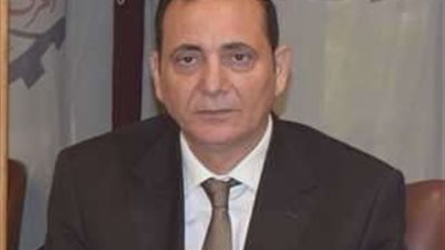 خاص|رئيس شعبة مواد البناء: أسعار الحديد والأسمنت مستقرة حتى نهاية الصيف