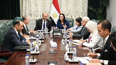 ملف العمالة غير المنتظمة على مائدة وزارتي التضامن والعمل.. اليوم