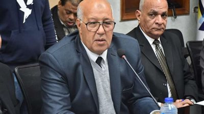 خاص|«مصر المستقبل»: قرار الإفراج يدل على تواصل الرئيس السيسي واهتمامه بالحوار الوطني