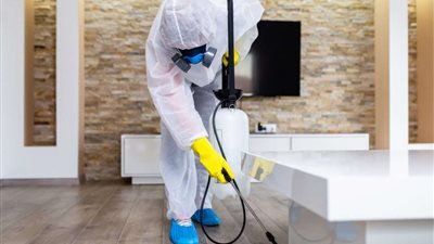 أفضل طريقة للقضاء على الحشرات في المنزل