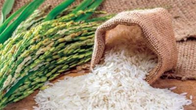 انخفاض أسعار الأرز خلال العام الحالي.. خبراء يوضحون
