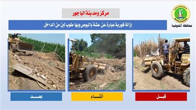 تعرف على حصاد الموجة 23 بالمنوفية (صور)