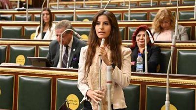 عضو خارجية النواب: الحوار الوطني ركيزة أساسية في صناعة القرار المصري