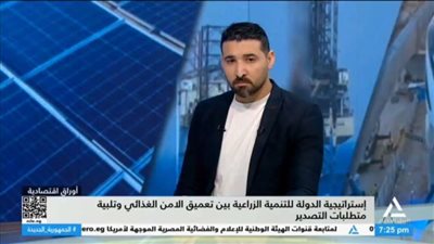 خبير زراعي: التمويل والبنية التحتية أهم تحديات تطوير القطاع الزراعي في مصر