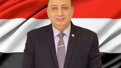 قيادي بـ«حماة الوطن»: مهرجان العلمين يعزز مكانة المدينة كوجهة سياحية رائدة