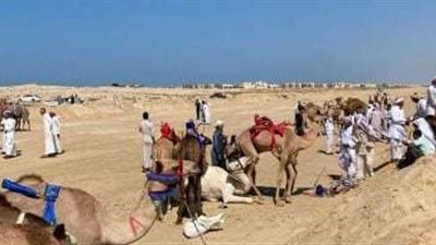 رئيس الاتحاد المصري للهجن: مهرجان العلمين المقبل سيكون أكبر بدعم من الشيخ سلطان بن حمدان