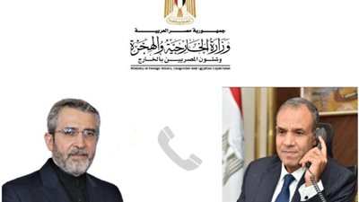 وزير الخارجية يؤكد ضرورة وقف الحرب على غزة في محادثاته مع طهران