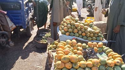 إزالة اشغالات وتعديات الباعة الجائلين على حرم الطرق بأسيوط