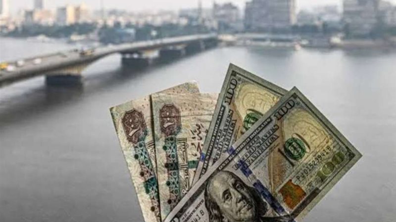 أسعار الدولار الان